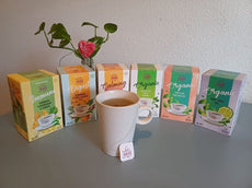 Pack Tés Antioxidantes y Salud Digestiva - 4uds